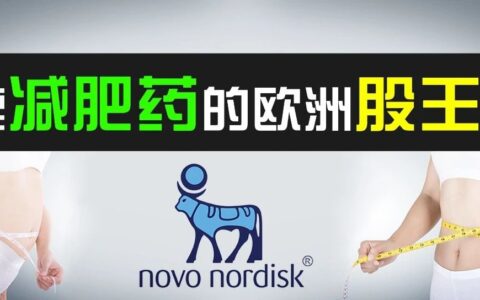 欧洲股王诺和诺德 Novo Nordisk，风靡全球的减肥药Wegovy（维格威）生产商