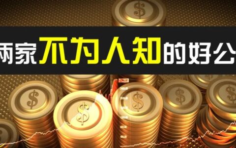 美股两家不为人知的好公司：软件、AI、SaaS