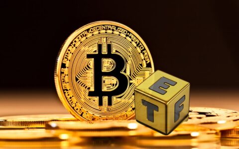 比特币现货ETF之王：IBIT为何稳坐头把交椅
