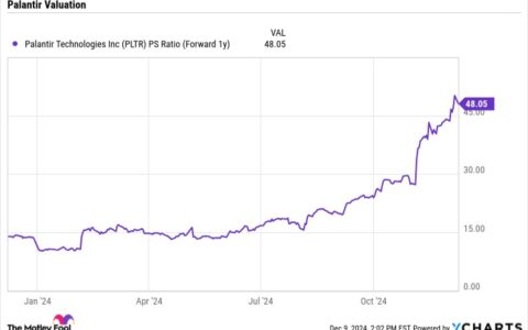 Palantir 的股票能成为下一个 Nvidia 吗？