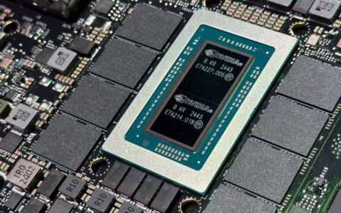 人工智能狂潮背后的赢家：英伟达Nvidia的护城河、隐忧与买入时机分析